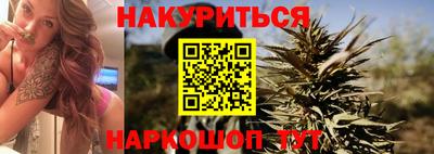 крисы Будённовск