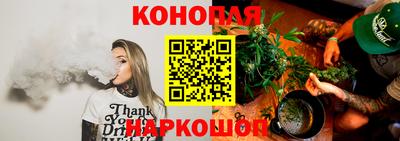 крисы Будённовск